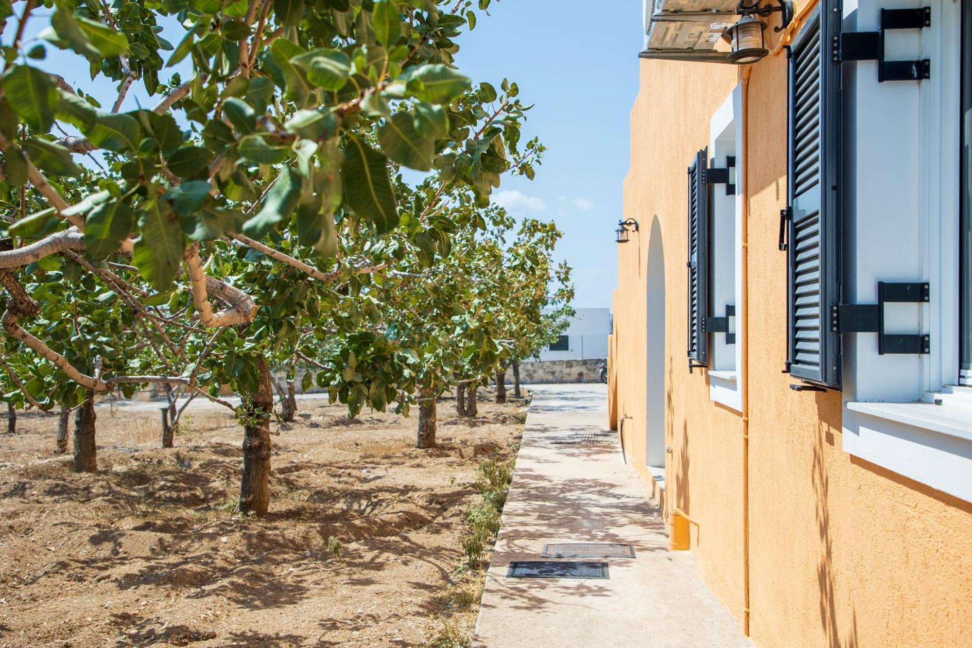 Aegina Nick'S House 빌라 외부 사진